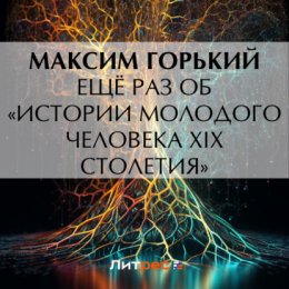 Ещё раз об «Истории молодого человека XIX столетия»