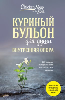 Куриный бульон для души. Внутренняя опора. 101 светлая история о том, что делает нас сильнее