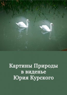 Картины Природы в виденьи Юрия Курского. Том 1