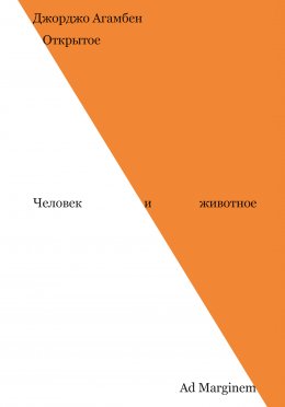 Открытое. Человек и животное