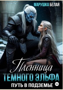 Пленница темного эльфа. Путь в Подземье