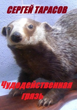 Чудодейственная грязь