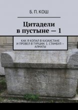 Цитадели в пустыне – 1. Как я копал в Казахстан и провел в Турции. 1. Стамбул – Алматы