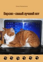 Барсик – самый лучший кот