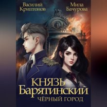 Князь Барятинский 3. Чёрный город