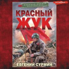 Красный Жук. Предварительные решения