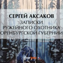 Записки ружейного охотника Оренбургской губернии. Рассказы и воспоминания охотника о разных охотах. Мелкие охотничьи рассказы