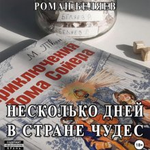 Несколько дней в стране чудес