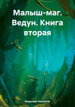 Малыш-маг. Ведун. Книга вторая