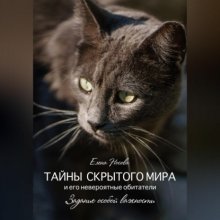 Тайны скрытого мира и его невероятные обитатели. Задание особой важности