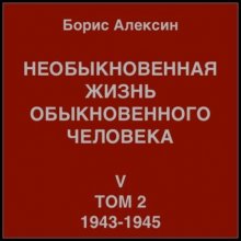 Необыкновенная жизнь обыкновенного человека. Книга 5. Том 2