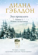 Эхо прошлого. Книга 1. Новые испытания