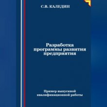 Разработка программы развития предприятия. Пример выпускной квалификационной работы