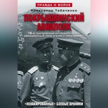 Покрышкинский авиаполк. «Нелакированные» боевые хроники. 16-й гвардейский истребительский авиационный полк в боях с люфтваффе. 1943-1945