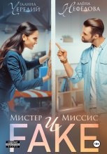 Мистер и Миссис Фейк