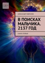 В поисках мальчика. 2137 год. Книга первая