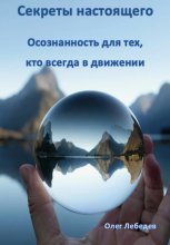 Секреты настоящего: Осознанность для тех, кто всегда в движении