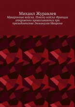 Макаронные войска. Почему войска Франции откровенно проваливаются при президентстве Эммануэля Макрона