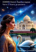 ЗЗЗМММ: Книга 1. Надежда на чудо Часть 2. «Успеть до рассвета»