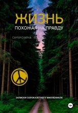 Жизнь похожая на правду. Записки сорокалетнего миллениала