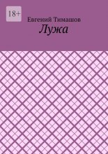 Лужа