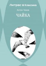 Чайка
