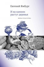 И на камнях растут деревья. Живая педагогика