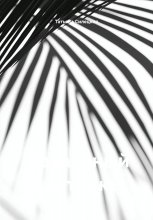 Идеальный контракт