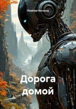 Дорога домой