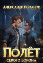 Полёт Серого Ворона