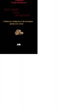 Чёрствый хлеб вечности (Записки сибирского бухгалтера прошлого века)