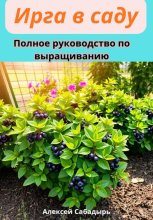 Ирга в саду полное руководство по выращиванию
