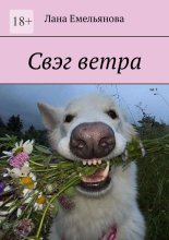 Свэг ветра