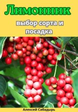 Лимонник: выбор сорта и посадка