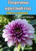 Георгины круглый год советы садовода