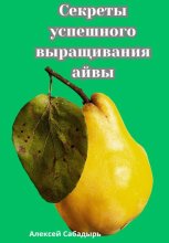 Секреты успешного выращивания айвы