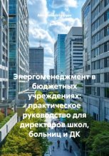 Энергоменеджмент в бюджетных учреждениях: практическое руководство для директоров школ, больниц и ДК