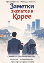 Заметки экспатов в Корее: Южная Корея комфортная, безопасная и развитая – или вымирающая страна одиноких депрессариков?