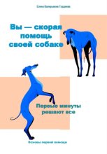 Вы — скорая помощь своей собаке. Первые минуты, которые решают всё