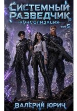 Системный разведчик. Консолидация. Том 5