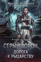 Серый Ворон. Книга 2. Дорога к рыцарству